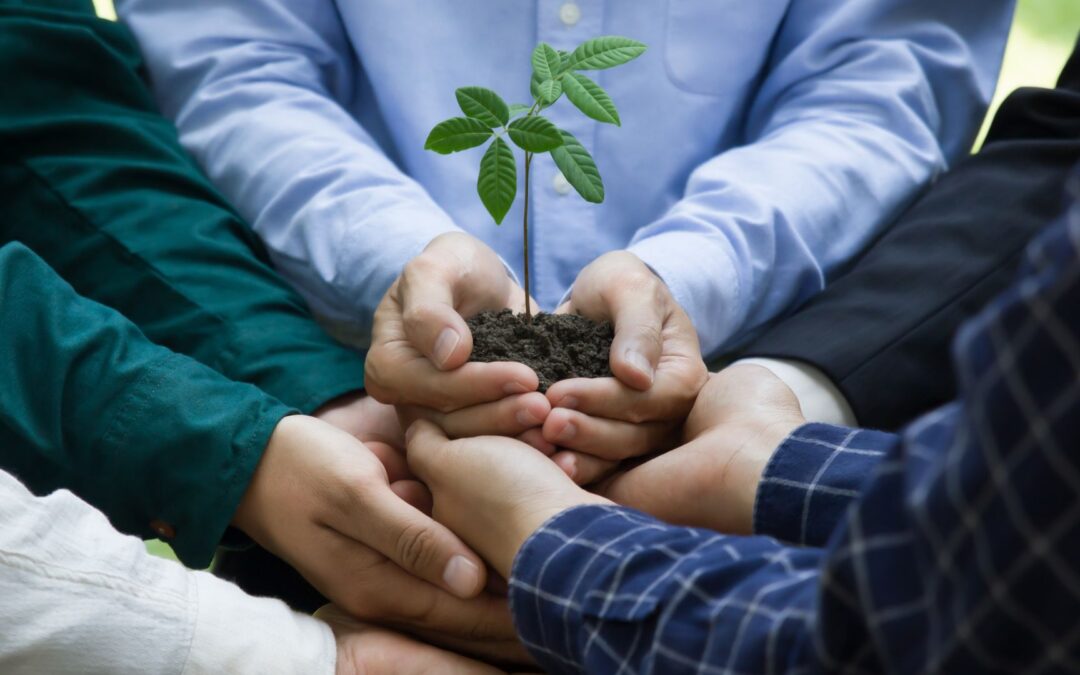 Consultoria e Soluções em Sustentabilidade